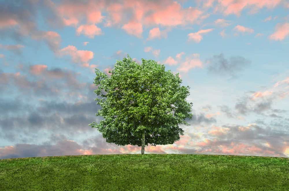 clouds eco environment