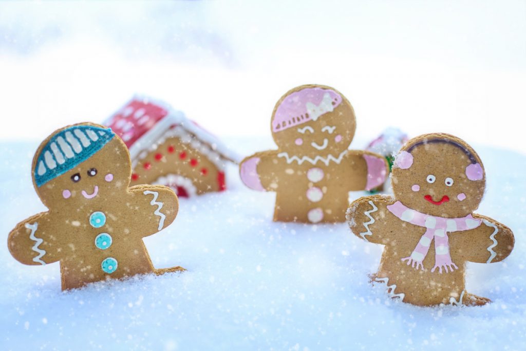 close up photo of gingerbread cookies 3309802 1