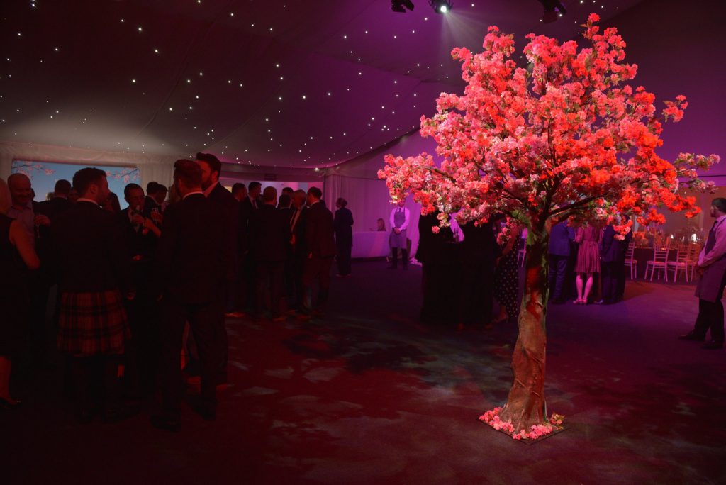 fmbe awards japanese blossom