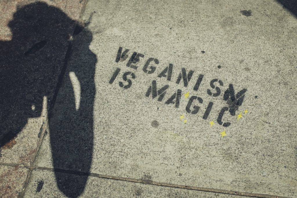 veganism is magic protest