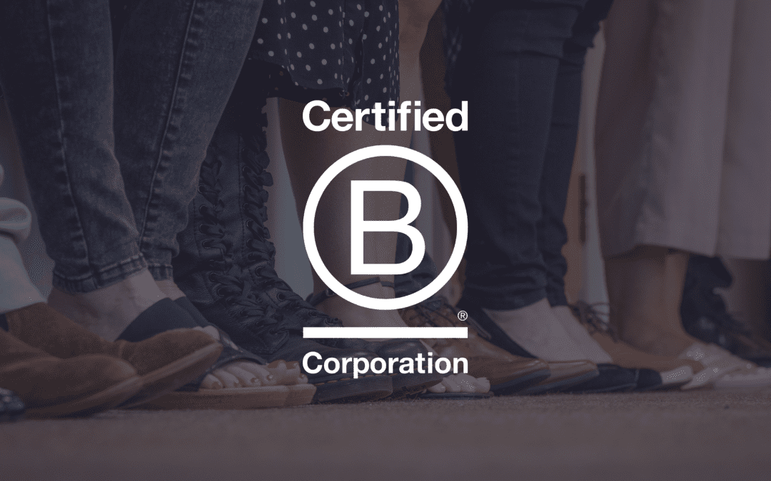 B Corp Update: Making improvements and enforcing change