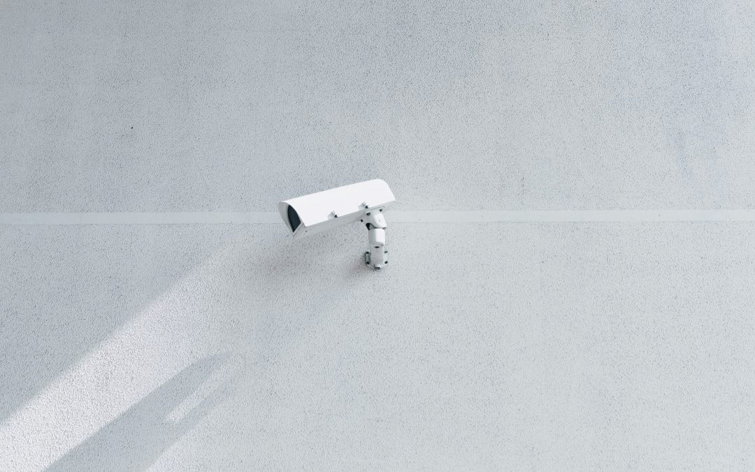 Image Recognition: The Best Software for Inventory Tracking